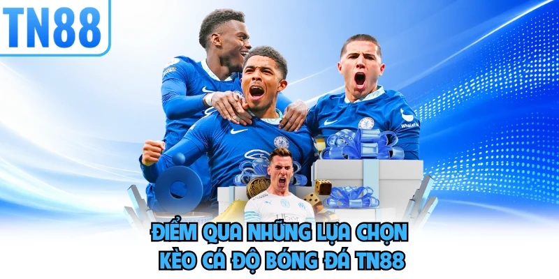 Điểm qua những lựa chọn kèo cá độ bóng đá TN88