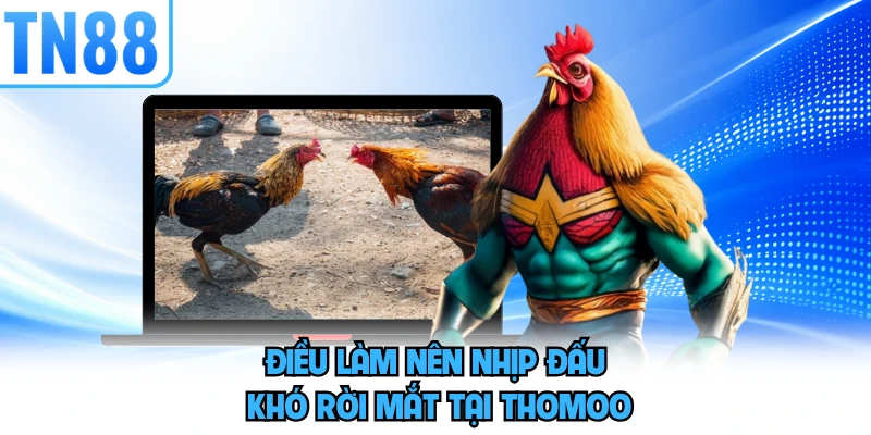 Điều làm nên nhịp đấu khó rời mắt tại thommo 