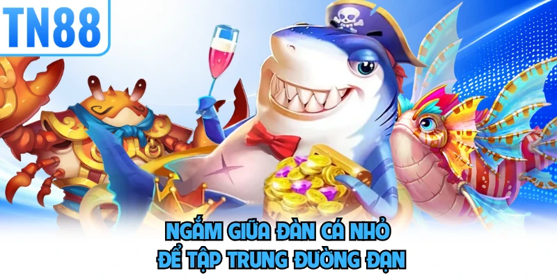 Ngắm giữa đàn cá nhỏ để tập trung đường đạn