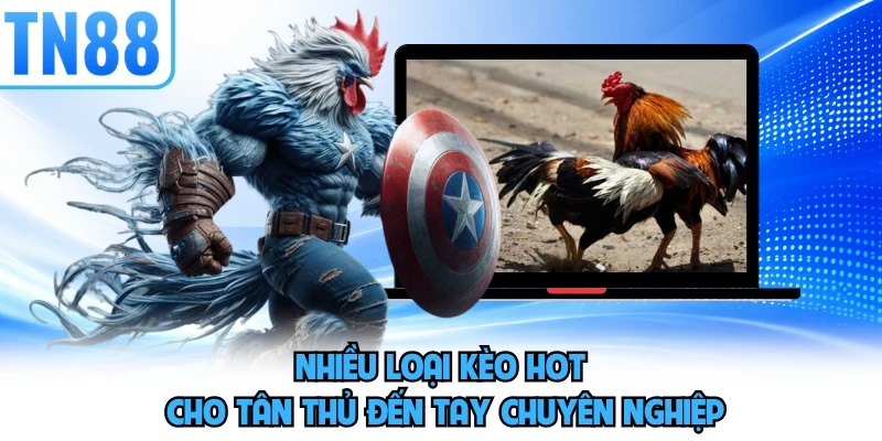 Nhiều loại kèo hot cho tân thủ đến tay chuyên nghiệp