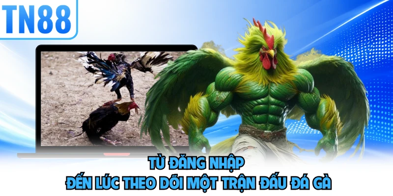 Từ đăng nhập đến lúc theo dõi một trận đấu đá gà